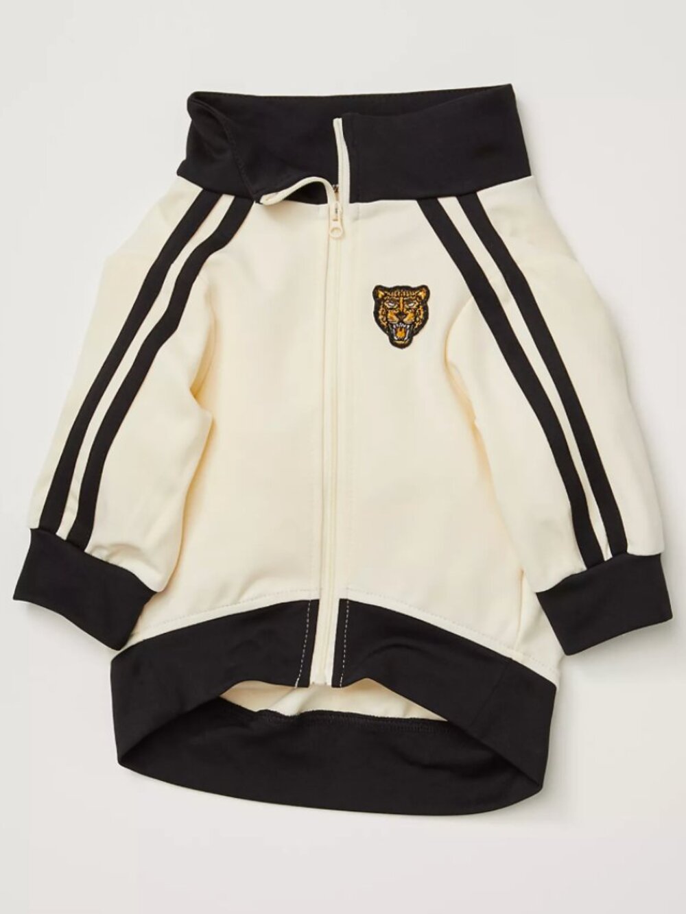 Free People New dog track jacket tiger FURB Team Captain